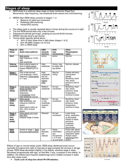 Stages of Sleep | PDF | Sleep | Rapid Eye Movement Sleep