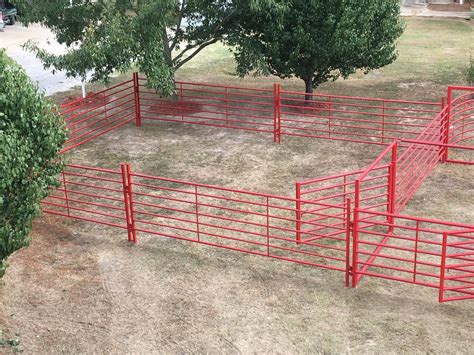 Custom Cattle Handling System 2 | BrinTough Equipment, Inc. Texas