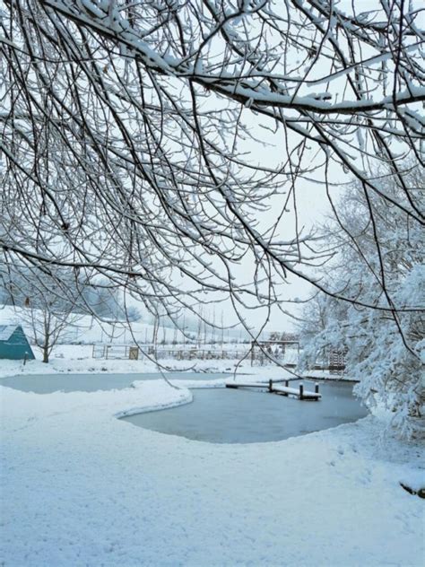 Il Ricovero Invernale Del Laghetto Eta Beta Vivaio