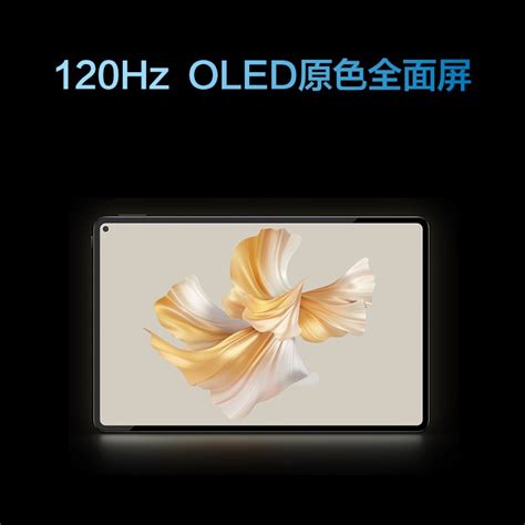 华为huawei电脑matepad Pro Got W09报价参数图片视频怎么样问答 苏宁易购