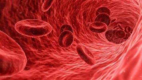 Team Develops Synthetic Blood-Thinner With No Bleeding Side Effects ...