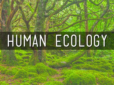 Human Ecology By Simon Mahaffy