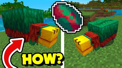 How To Get A Sniffer In Minecraft 1 20 How To Find Sniffer Eggs How To Breed Sniffers Youtube