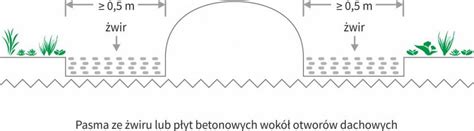 Projektowanie Dach W Zielonych Zasady Warstwy I Budowa Zielonego Dachu