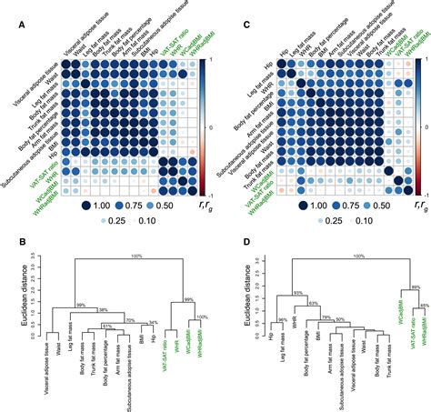 Adiposity And Sex Specific Cancer Risk Cancer Cell