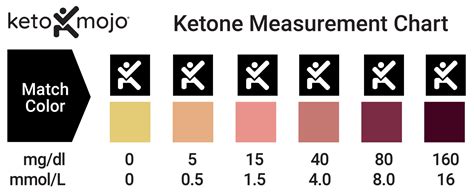 How To Interpret Ketone Urine Test Results | KETO-MOJO