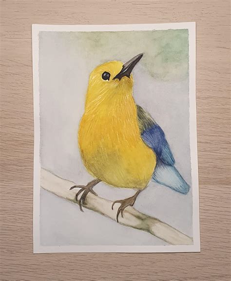 My little bird : r/Watercolor