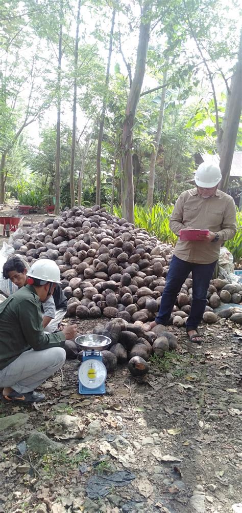 BPSBP Balai Pengawasan Dan Sertifikasi Benih Perkebunan