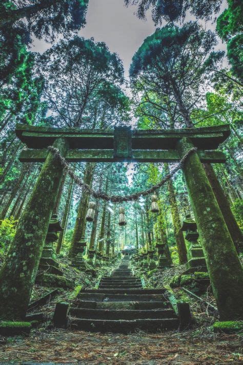 350 Shinto temples ideas in 2021 | shinto, japan, shrine