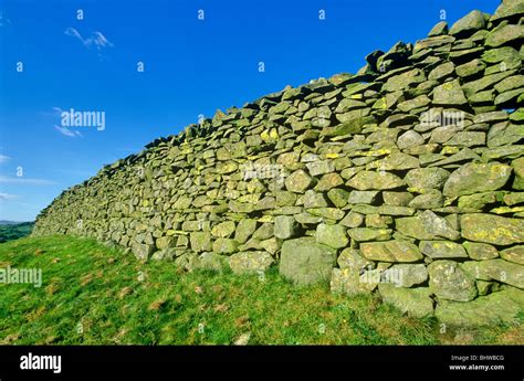 Dry stone wall in the English countryside, Yorkshire Dales National ...