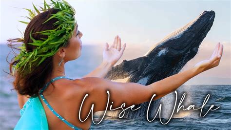 Sierra Sophia Mercier Wise Whale An Ode To The Ocean S Greatest