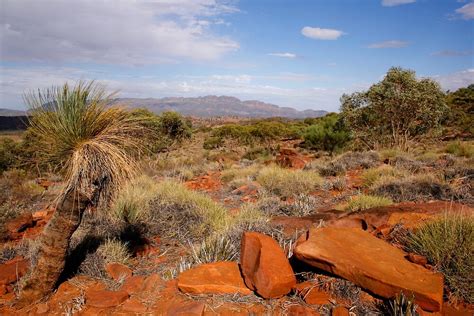 "Australian Outback Desert Landscape" by jwwallace | Redbubble