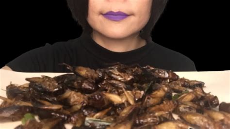 Asmr Fried Edible Insects Grasshopper Mukbang Crunchy Eating Sounds