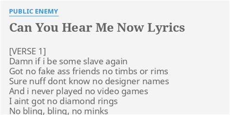 Can You Hear Me Now Lyrics By Public Enemy D If I Be