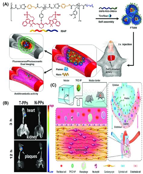 Theranostic Nanomedicine For Diagnosis And Therapy Of Cardiovascular