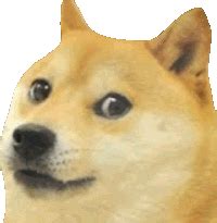 the doge Blank Template - Imgflip