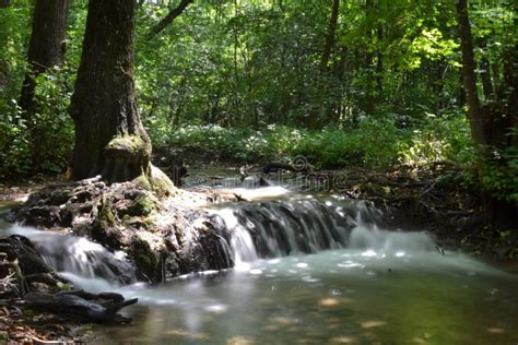 Amazing Waterfall in the Forest. Stock Photo - Image of water, forest ...