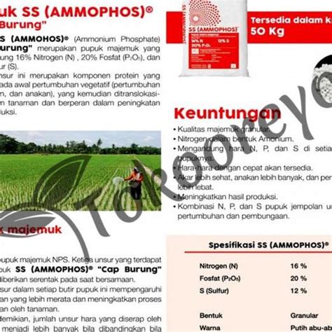 Jual Fresh Pupuk Meroke Ss Ammophos Kg Kemasan Pabrik Via Cargo