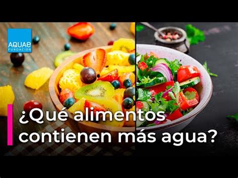 Las Verduras Con Alto Contenido De Agua La Casa De La Huerta