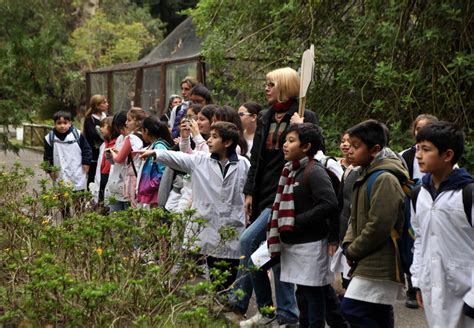 Jaulas Viejas Mascotismo Y Entrega De Plantines As Es El Circuito