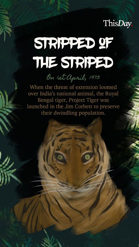 Stripped of the Striped Cat