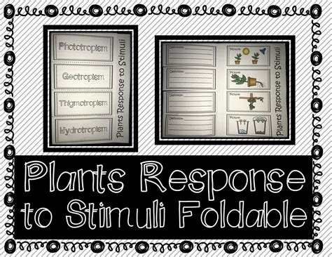 Plants Response To Stimuli Interactive Notebook Foldable Amped Up Learning