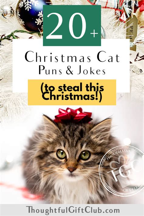 20+ Christmas Cat Puns for the Purr-fect Instagram Captions