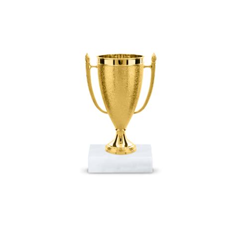 Gold Cup Participation Trophy Try Cup Trophy