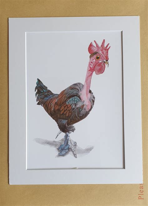 Transylvanian Naked Neck Bare Neck Chicken Art Print From Original