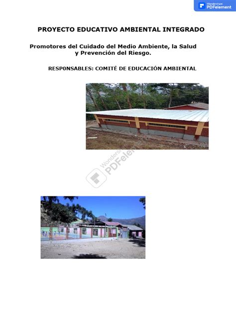 Proyecto Educativo Ambiental Integral Pdf