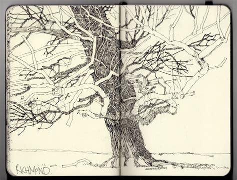 Ian Sidaway Fine Line Landscape Drawings Artist Sketches Sketchbook