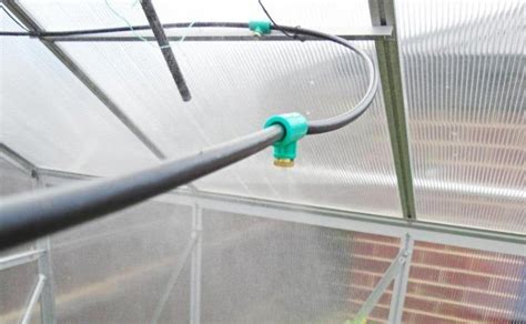 Greenhouse Cooling Made Easy 8 Expert Recommended Methods For A Cool