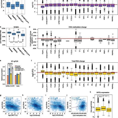 Rna Dependent Heterochromatin Formation Models A Rna Dependent Download Scientific Diagram