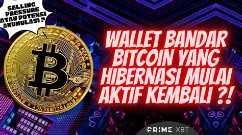 BITCOIN WALLET MILIK BANDAR BESAR MULAI AKTIF MENJADI SENTIMENT BAIK