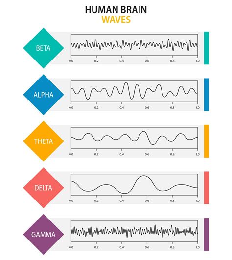 Set of brain waves oscillation. Beta, alpha, theta, delta, gamma brain ...