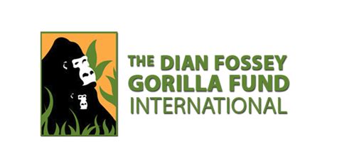 Gorilla Conservation Organizations In Africa