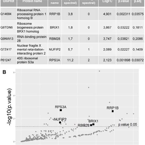 Identification Of Proteins That Interact With HnRNP UL1 A Protein