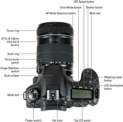 Canon Eos 90d For Dummies Cheat Sheet Artofit