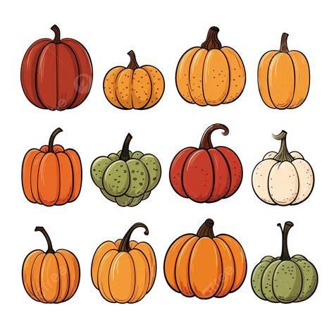 Conjunto Aislado De Calabazas De Doodle Png Elementos Vectoriales