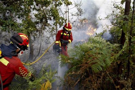 Controlados Los Cuatro Incendios Forestales Activos En Galicia