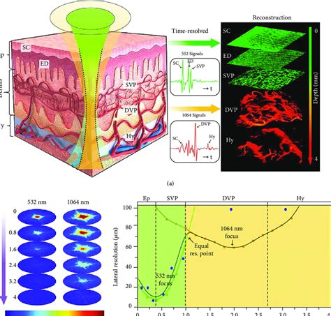 Bifocal Photoacoustic Microscopy System Using Two Excitation Beams A