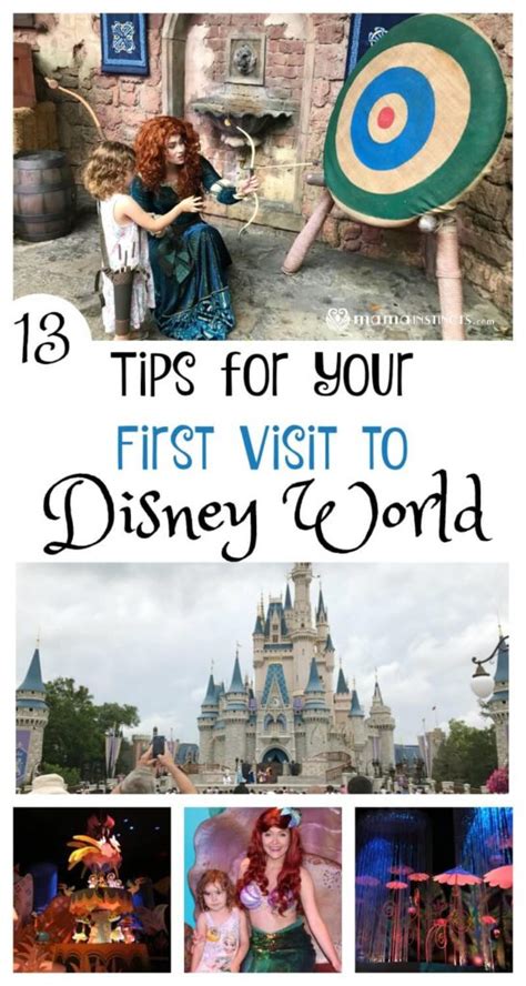 Tips For Your First Visit To Disney World Mama Instincts