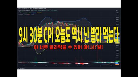 마동석코인 마코 9시 30분 Cpi 오늘도 역시 난 발라 먹는다 야 너두 발라먹을 수 있어 애 너 두 비트코인 알트코인