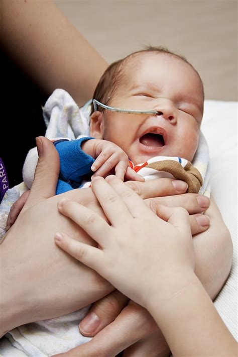 Please Volunteer to Be a NICU Baby Cuddler - Kitchen Fun With My 3 Sons