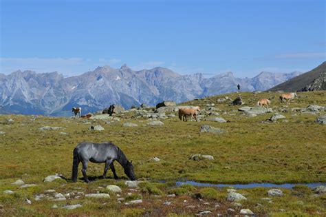 Wanderungen In Den Alpen Schw Bischer Albverein Ortsgruppe Buttenhausen