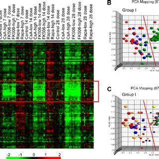 A Kidney Gene Expression Signature Correlates With Ci Induced