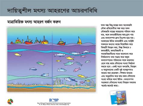 Bay Of Bengal Programme