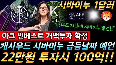 시바이누 코인 캐시우드 지갑에 시바이누 발견 아크인베스트 초거대 투자확정 100억 부자를 향한 도약 비트코인