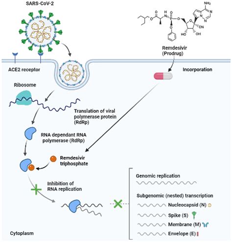 Antibiotics Free Full Text An Overview Of Repurposed Drugs For