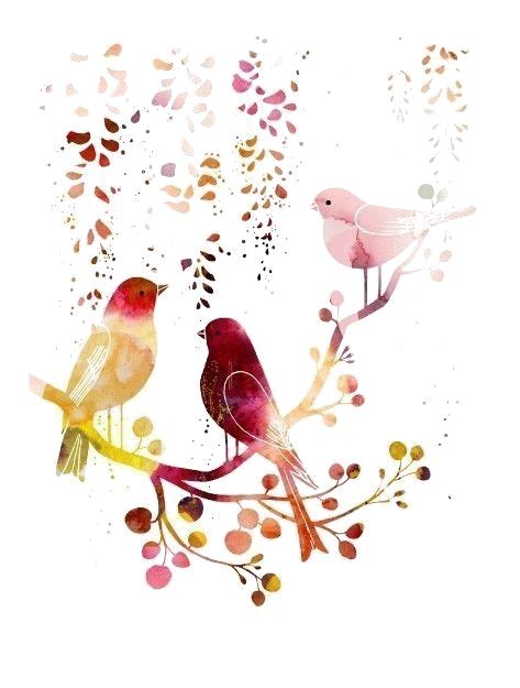 Download Illustration Bird Watercolor Drawing Painting Birds Clipart Png Free Freepngclipart